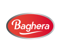 Baghera logo
